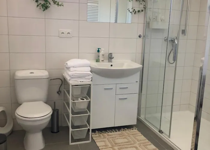 S Terasou Lysa Apartment Lysa nad Labem